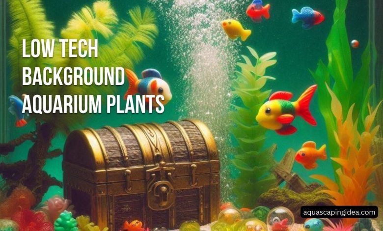 Low Tech Background Aquarium Plants