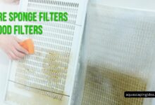 Are Sponge Filters Good Filters