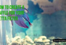 How To Create A Baffle For Your Betta Filter