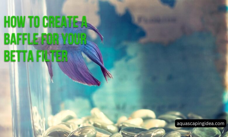How To Create A Baffle For Your Betta Filter
