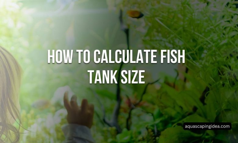 How To Calculate Fish Tank Size