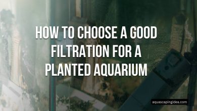 planted aquarium filtration