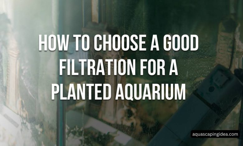 planted aquarium filtration