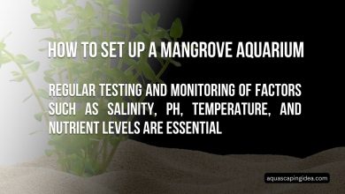 Mangrove Aquarium