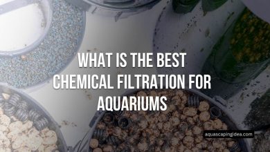 What Is The Best Chemical Filtration For Aquariums