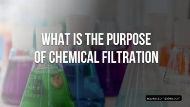 What Is The Purpose Of Chemical Filtration