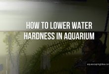 How To Lower Water Hardness In Aquarium