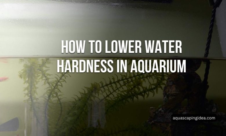 How To Lower Water Hardness In Aquarium